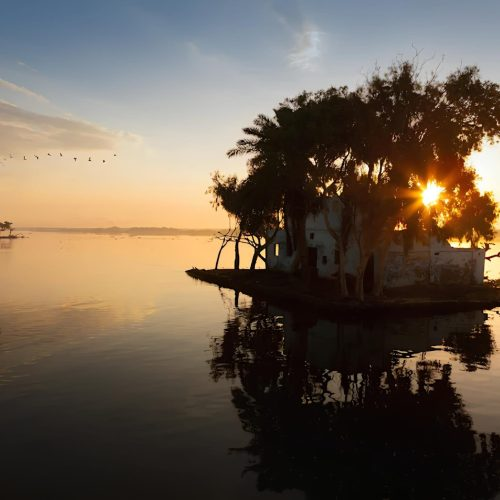 مسجد إبراهيم الدسوقي